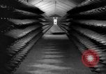 Standbild Munitionsfabrik United States USA, 1941, aus Sekunde 53 historischem Filmmaterial Videoclip 65675046027