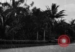 Standbild Landschaft anzeigen Hawaii USA, 1924, aus Sekunde 13 historischem Filmmaterial Videoclip 65675046039