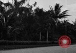 Standbild Landschaft anzeigen Hawaii USA, 1924, aus Sekunde 14 historischem Filmmaterial Videoclip 65675046039