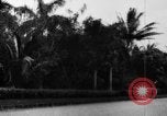 Standbild Landschaft anzeigen Hawaii USA, 1924, aus Sekunde 15 historischem Filmmaterial Videoclip 65675046039