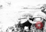 Standbild Plantage Honolulu Hawaii USA, 1924, aus Sekunde 1 historischem Filmmaterial Videoclip 65675046040