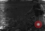 Standbild Plantage Honolulu Hawaii USA, 1924, aus Sekunde 15 historischem Filmmaterial Videoclip 65675046040