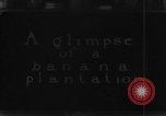 Standbild Plantage Honolulu Hawaii USA, 1924, aus Sekunde 17 historischem Filmmaterial Videoclip 65675046040
