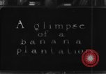 Standbild Plantage Honolulu Hawaii USA, 1924, aus Sekunde 18 historischem Filmmaterial Videoclip 65675046040
