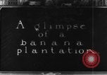 Standbild Plantage Honolulu Hawaii USA, 1924, aus Sekunde 19 historischem Filmmaterial Videoclip 65675046040