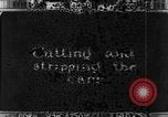 Standbild Plantage Honolulu Hawaii USA, 1924, aus Sekunde 47 historischem Filmmaterial Videoclip 65675046040