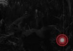 Standbild Plantage Honolulu Hawaii USA, 1924, aus Sekunde 52 historischem Filmmaterial Videoclip 65675046040