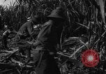 Standbild Plantage Honolulu Hawaii USA, 1924, aus Sekunde 55 historischem Filmmaterial Videoclip 65675046040