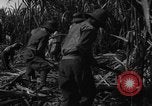 Standbild Plantage Honolulu Hawaii USA, 1924, aus Sekunde 56 historischem Filmmaterial Videoclip 65675046040
