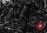 Standbild Plantage Honolulu Hawaii USA, 1924, aus Sekunde 57 historischem Filmmaterial Videoclip 65675046040
