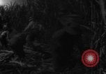 Standbild Plantage Honolulu Hawaii USA, 1924, aus Sekunde 61 historischem Filmmaterial Videoclip 65675046040