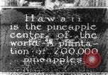 Image of plantation Hawaii USA, 1924, second 1 stock footage video 65675046041