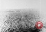 Image of plantation Hawaii USA, 1924, second 6 stock footage video 65675046041