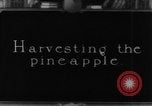 Image of plantation Hawaii USA, 1924, second 7 stock footage video 65675046041