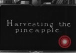 Image of plantation Hawaii USA, 1924, second 9 stock footage video 65675046041
