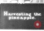 Image of plantation Hawaii USA, 1924, second 10 stock footage video 65675046041