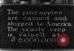 Image of plantation Hawaii USA, 1924, second 18 stock footage video 65675046041