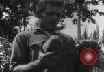 Image of plantation Hawaii USA, 1924, second 6 stock footage video 65675046042