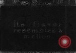 Image of plantation Hawaii USA, 1924, second 13 stock footage video 65675046042