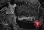 Image of plantation Hawaii USA, 1924, second 17 stock footage video 65675046042