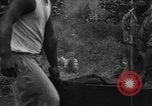 Image of plantation Hawaii USA, 1924, second 20 stock footage video 65675046042