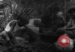 Image of plantation Hawaii USA, 1924, second 24 stock footage video 65675046042