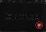 Image of plantation Hawaii USA, 1924, second 29 stock footage video 65675046042