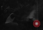Image of plantation Hawaii USA, 1924, second 34 stock footage video 65675046042