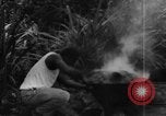Image of plantation Hawaii USA, 1924, second 35 stock footage video 65675046042