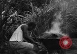 Image of plantation Hawaii USA, 1924, second 36 stock footage video 65675046042