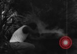 Image of plantation Hawaii USA, 1924, second 40 stock footage video 65675046042