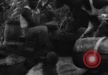 Image of plantation Hawaii USA, 1924, second 50 stock footage video 65675046042