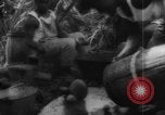 Image of plantation Hawaii USA, 1924, second 51 stock footage video 65675046042