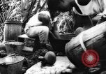 Image of plantation Hawaii USA, 1924, second 52 stock footage video 65675046042