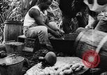 Image of plantation Hawaii USA, 1924, second 53 stock footage video 65675046042