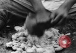 Image of plantation Hawaii USA, 1924, second 58 stock footage video 65675046042