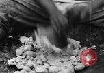 Image of plantation Hawaii USA, 1924, second 59 stock footage video 65675046042