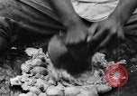 Image of plantation Hawaii USA, 1924, second 60 stock footage video 65675046042