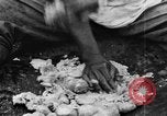 Image of plantation Hawaii USA, 1924, second 61 stock footage video 65675046042