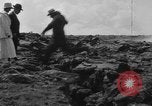 Image of Kilauea volcano Hawaii USA, 1924, second 33 stock footage video 65675046044
