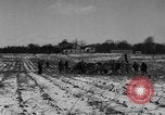 Image of Charles A Lindbergh United States USA, 1934, second 15 stock footage video 65675046045