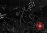 Image of Charles A Lindbergh United States USA, 1934, second 44 stock footage video 65675046045