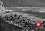 Image Recherche d'Ambergris sur une plage Bolinas Beach California USA, 1934, de la seconde 4 séquences d'archives historiques vidéo 65675046047