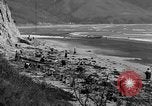 Image Recherche d'Ambergris sur une plage Bolinas Beach California USA, 1934, de la seconde 5 séquences d'archives historiques vidéo 65675046047