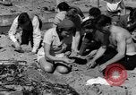 Image Recherche d'Ambergris sur une plage Bolinas Beach California USA, 1934, de la seconde 9 séquences d'archives historiques vidéo 65675046047