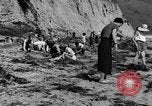 Image Recherche d'Ambergris sur une plage Bolinas Beach California USA, 1934, de la seconde 17 séquences d'archives historiques vidéo 65675046047