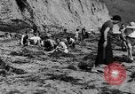 Image Recherche d'Ambergris sur une plage Bolinas Beach California USA, 1934, de la seconde 18 séquences d'archives historiques vidéo 65675046047