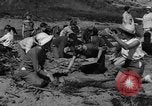 Image Recherche d'Ambergris sur une plage Bolinas Beach California USA, 1934, de la seconde 23 séquences d'archives historiques vidéo 65675046047