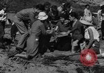 Image Recherche d'Ambergris sur une plage Bolinas Beach California USA, 1934, de la seconde 30 séquences d'archives historiques vidéo 65675046047