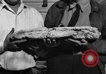 Image Recherche d'Ambergris sur une plage Bolinas Beach California USA, 1934, de la seconde 38 séquences d'archives historiques vidéo 65675046047